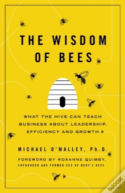 Capa do artigo Wisdom Of Bees