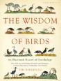 Wisdom Of Birds - Preview