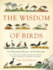Capa do artigo Wisdom Of Birds