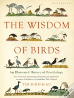 Capa do artigo Wisdom Of Birds