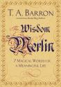 Wisdom Of Merlin - Preview