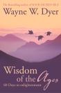 Wisdom Of The Ages - Preview