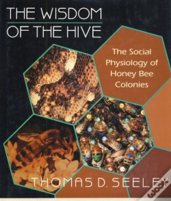 Capa do artigo Wisdom Of The Hive