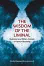 Wisdom Of The Liminal - Preview