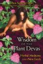Wisdom Of The Plant Devas - Preview