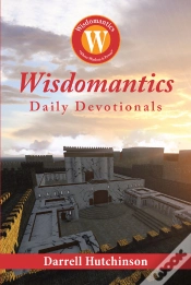 Capa do artigo Wisdomantics