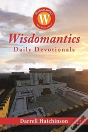 Capa do artigo Wisdomantics