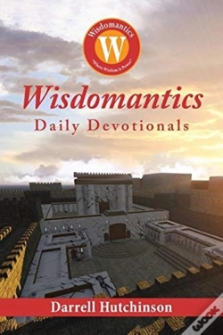 Capa do artigo Wisdomantics