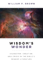 Wisdom'S Wonder - Preview