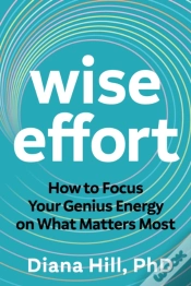 Capa do artigo Wise Effort