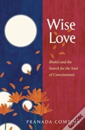 Capa do artigo Wise-Love