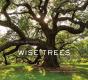Wise Trees - Preview