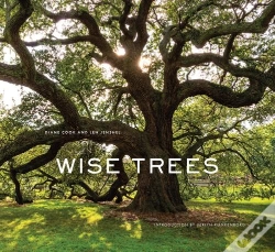 Capa do artigo Wise Trees