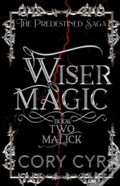 Capa do artigo Wiser Magic Book 2