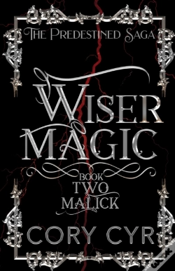 Capa do artigo Wiser Magic Book 2