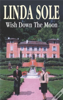 Capa do artigo Wish Down The Moon