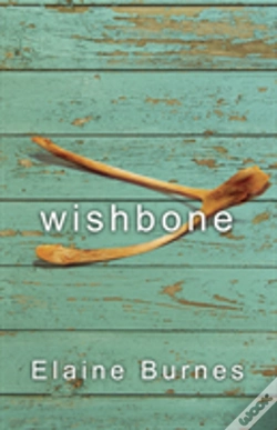 Capa do artigo Wishbone