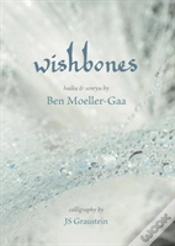 Capa do artigo Wishbones