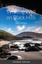 Wishing Well On Black Hills - Preview