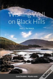Capa do artigo Wishing Well On Black Hills