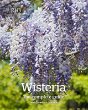 Wisteria: The Complete Guide - Preview