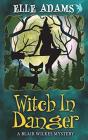 Witch In Danger - Preview