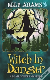 Capa do artigo Witch In Danger