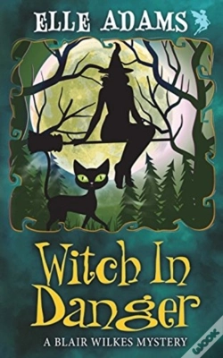 Capa do artigo Witch In Danger