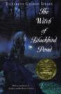 Witch Of Blackbird Pond - Preview