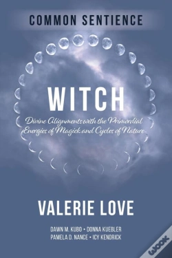 Capa do artigo Witch