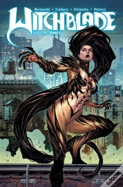 Capa do artigo Witchblade Volume 3