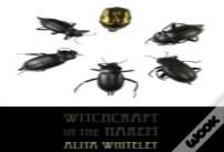 Witchcraft In The Harem