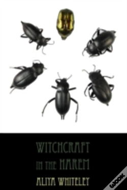 Capa do artigo Witchcraft In The Harem