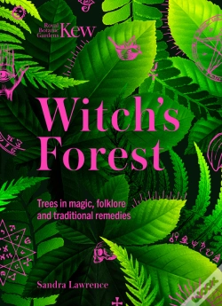Capa do artigo Witch'S Forest