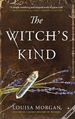 Capa do artigo Witch'S Kind