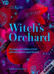 Capa do artigo Witch