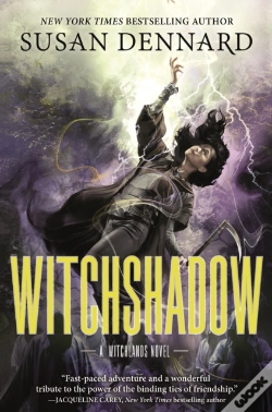 Capa do artigo Witchshadow