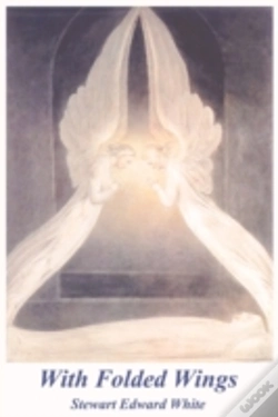 Capa do artigo With Folded Wings
