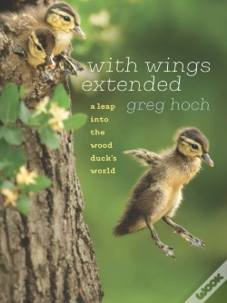 Capa do artigo With Wings Extended