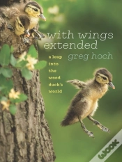 Capa do artigo With Wings Extended