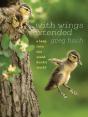 With Wings Extended - Preview