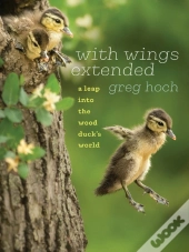 With Wings Extended