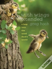 Capa do artigo With Wings Extended