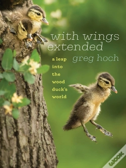 Capa do artigo With Wings Extended