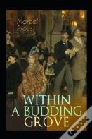 Within A Budding Grove By Marcel Proust Illustrated Edition