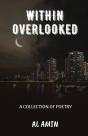 Within Overlooked - Preview
