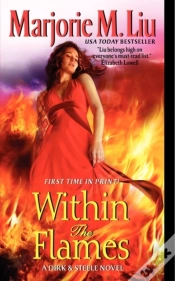 Capa do artigo Within The Flames