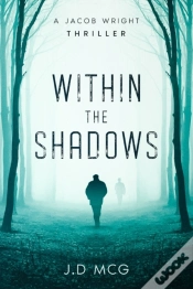 Capa do artigo Within The Shadows