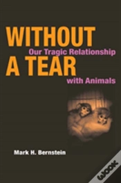 Capa do artigo Without A Tear