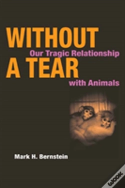 Capa do artigo Without A Tear